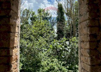 Giardino - Semi-detached house Via Cerreto, Filignano - photo 57