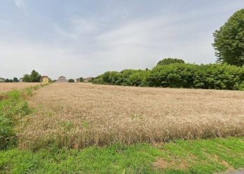 Terreno - Terreno edificabile Cantone Chiesa, Casale Monferrato - foto 2