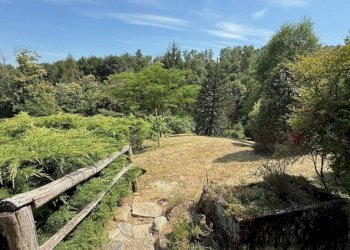 Terreno - Apartment via Case Sparse, 7, Pettinengo - photo 27