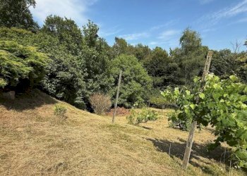 Terreno - Apartment via Case Sparse, 7, Pettinengo - photo 30