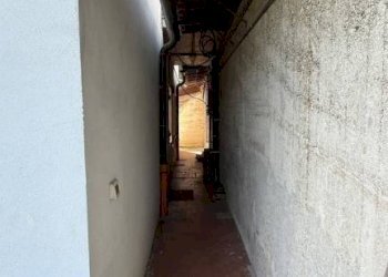 Cantina - Apartment via Case Sparse, 7, Pettinengo - photo 34