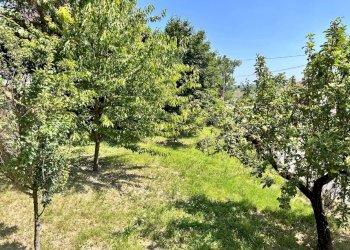 Frutteto - Villa Storica via MAZZINI, Montiglio Monferrato - foto 12