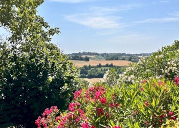 Esterno - Villa Storica via MAZZINI, Montiglio Monferrato - foto 44