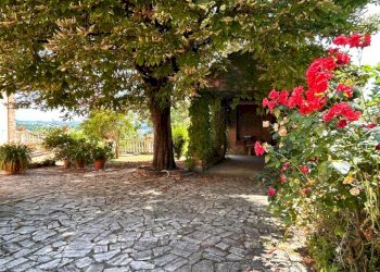 Cortile - Villa Storica via MAZZINI, Montiglio Monferrato - foto 45