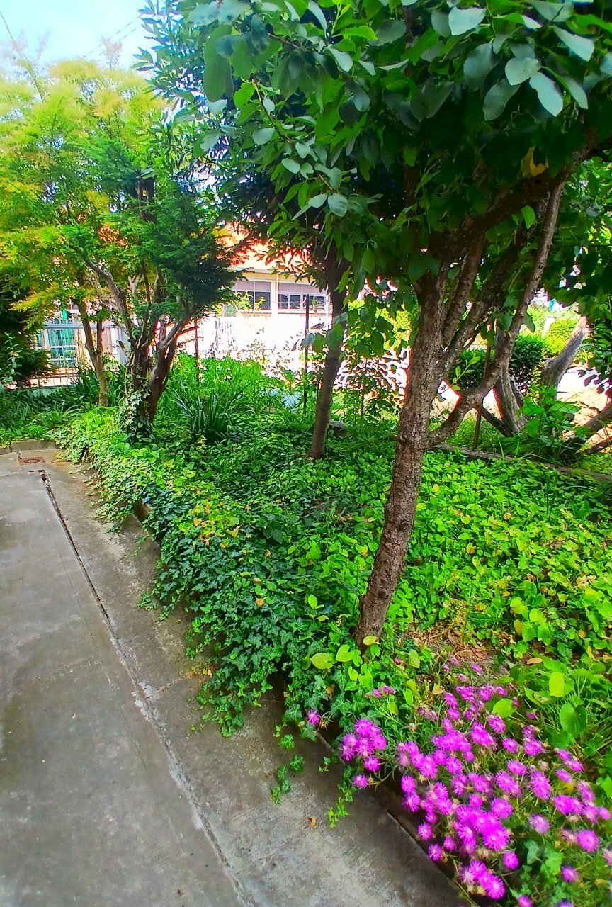 Appartamento Reggio nell'Emilia - foto 1