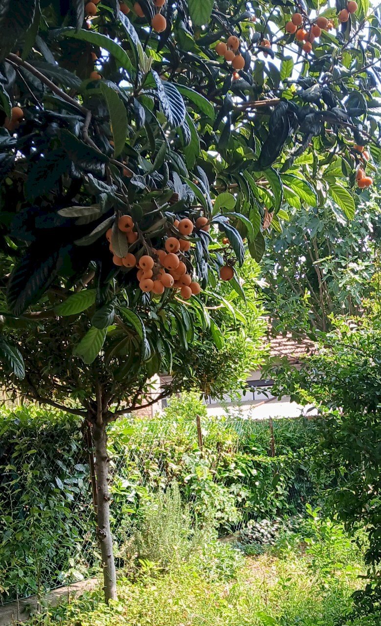 Appartamento Reggio nell'Emilia - foto 3