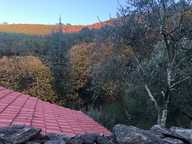 Foto 2 - Rustic via di vorno
 
32, Capannori - photo 2