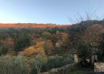 Foto 24 - Rustico via di vorno
 
32, Capannori - foto 24