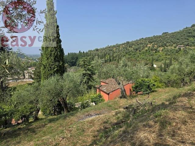 Foto 2 - Rustico via massarosa, Massarosa - foto 2