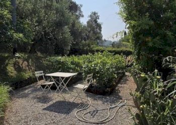 Foto 5 - Rustico via massarosa, Massarosa - foto 5