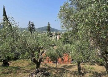 Foto 35 - Rustico via massarosa, Massarosa - foto 35