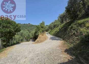 Foto 39 - Rustico via massarosa, Massarosa - foto 39