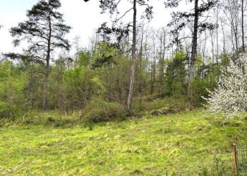 Terreno - Villa Località Canneto, Gorreto - foto 16