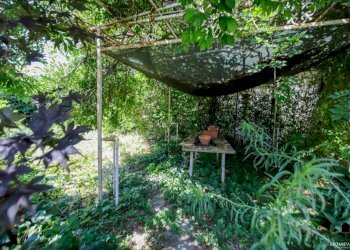 Giardino - Villa strada Casale, 23, Crescentino - foto 4