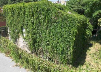 Vista - Terreno edificabile via Lago Figoi, 29, Genova (zona Borzoli) - foto 19