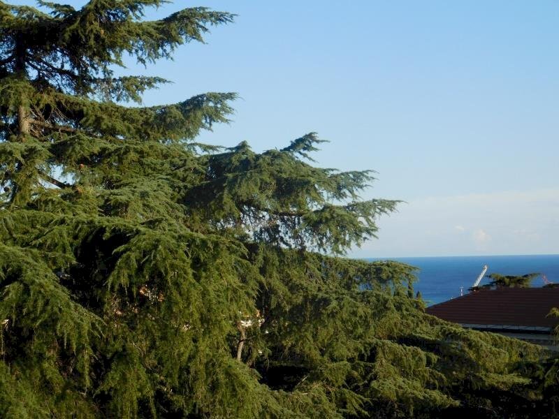 Trilocale Savona (zona Villetta) - foto 1