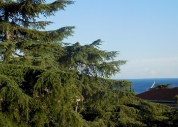 Trilocale Savona (zona Villetta) - foto 1