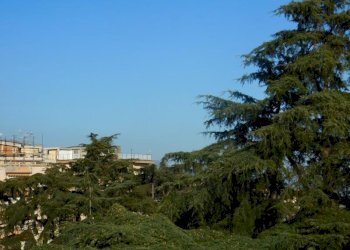 Trilocale Savona (zona Villetta) - foto 15