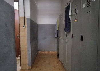 Building land Parma - photo 6