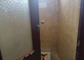 Building land Parma - photo 8