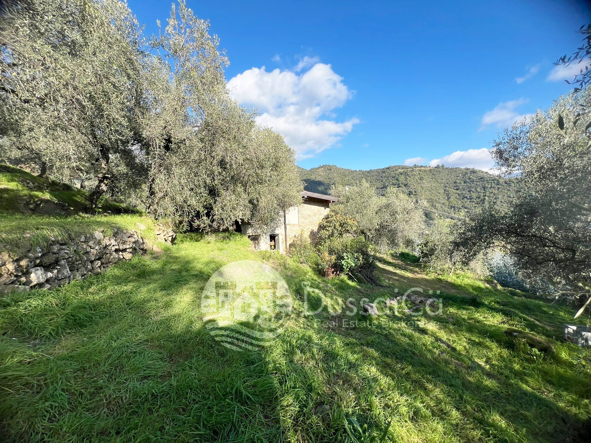 Independent house Località Pozzuolo, snc, Dolceacqua - photo 2