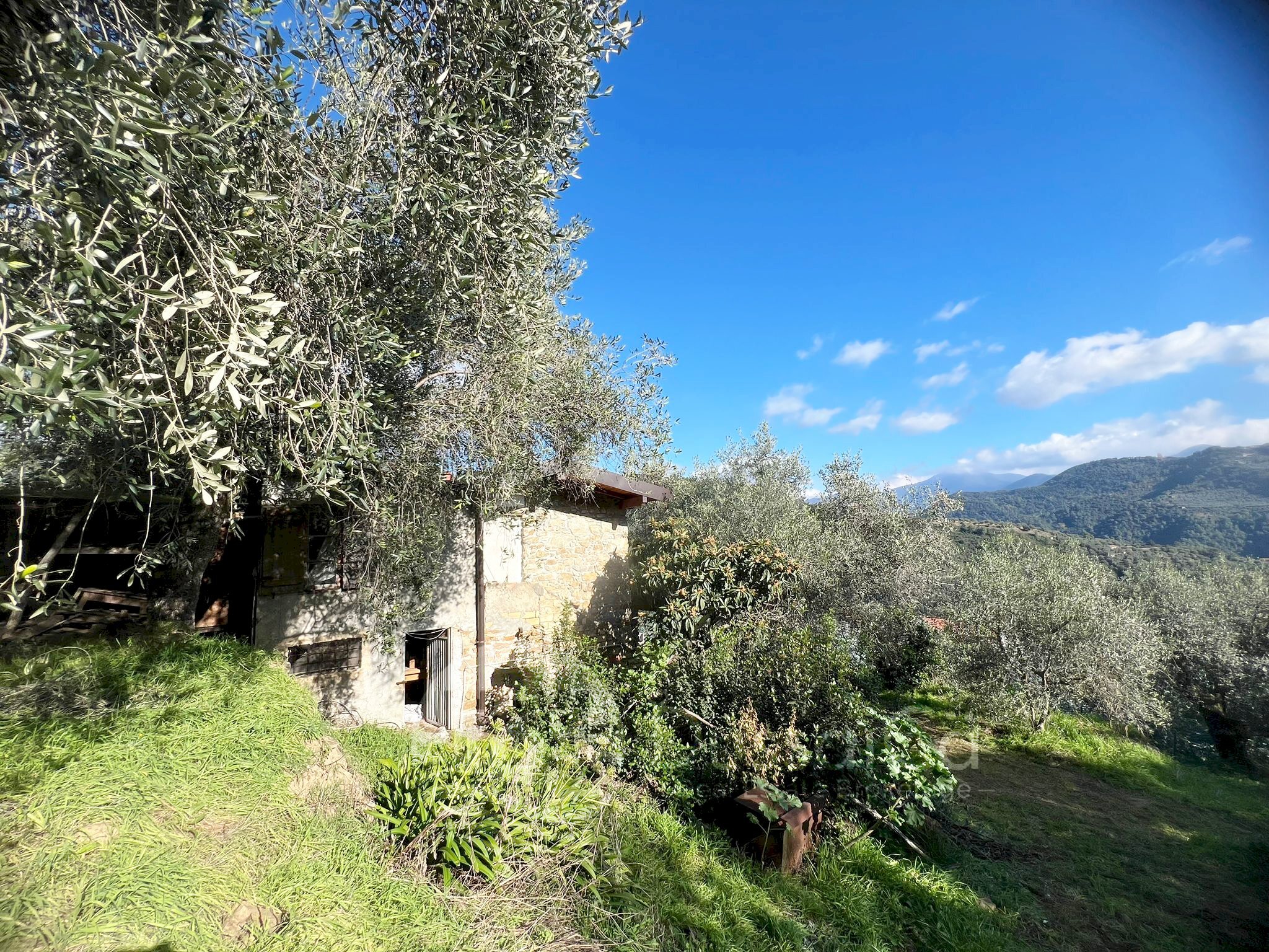 Independent house Località Pozzuolo, snc, Dolceacqua - photo 3