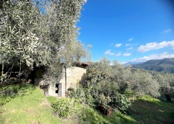 Independent house Località Pozzuolo, snc, Dolceacqua - photo 3