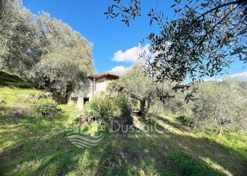 Independent house Località Pozzuolo, snc, Dolceacqua - photo 4