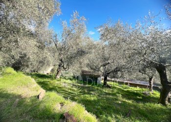 Independent house Località Pozzuolo, snc, Dolceacqua - photo 8