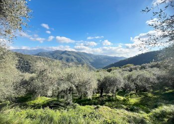 Independent house Località Pozzuolo, snc, Dolceacqua - photo 9