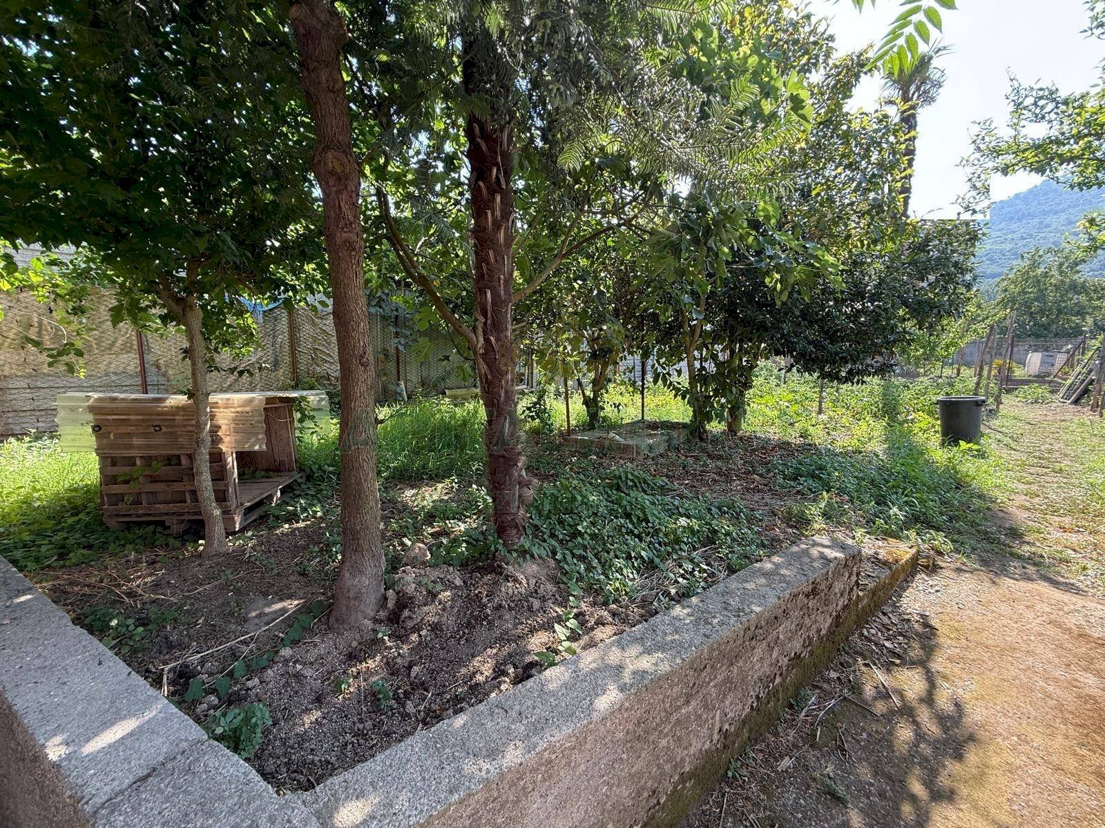 Foto 1 - Casa indipendente via michelangelo testa, Montoro - foto 1