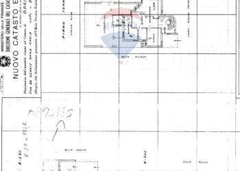 Pianta 2D - Villa Traversa di Via Giulio Petroni
 
131, Bari - foto 5