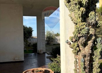 Terrazza - Villa Traversa di Via Giulio Petroni
 
131, Bari - foto 8