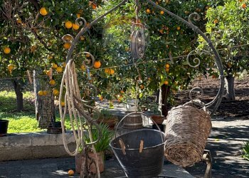 Dettagli - Villa Traversa di Via Giulio Petroni
 
131, Bari - foto 9