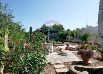 Giardino - Villa Via Dell'Orsa Maggiore
 
12, Mola di Bari - foto 15