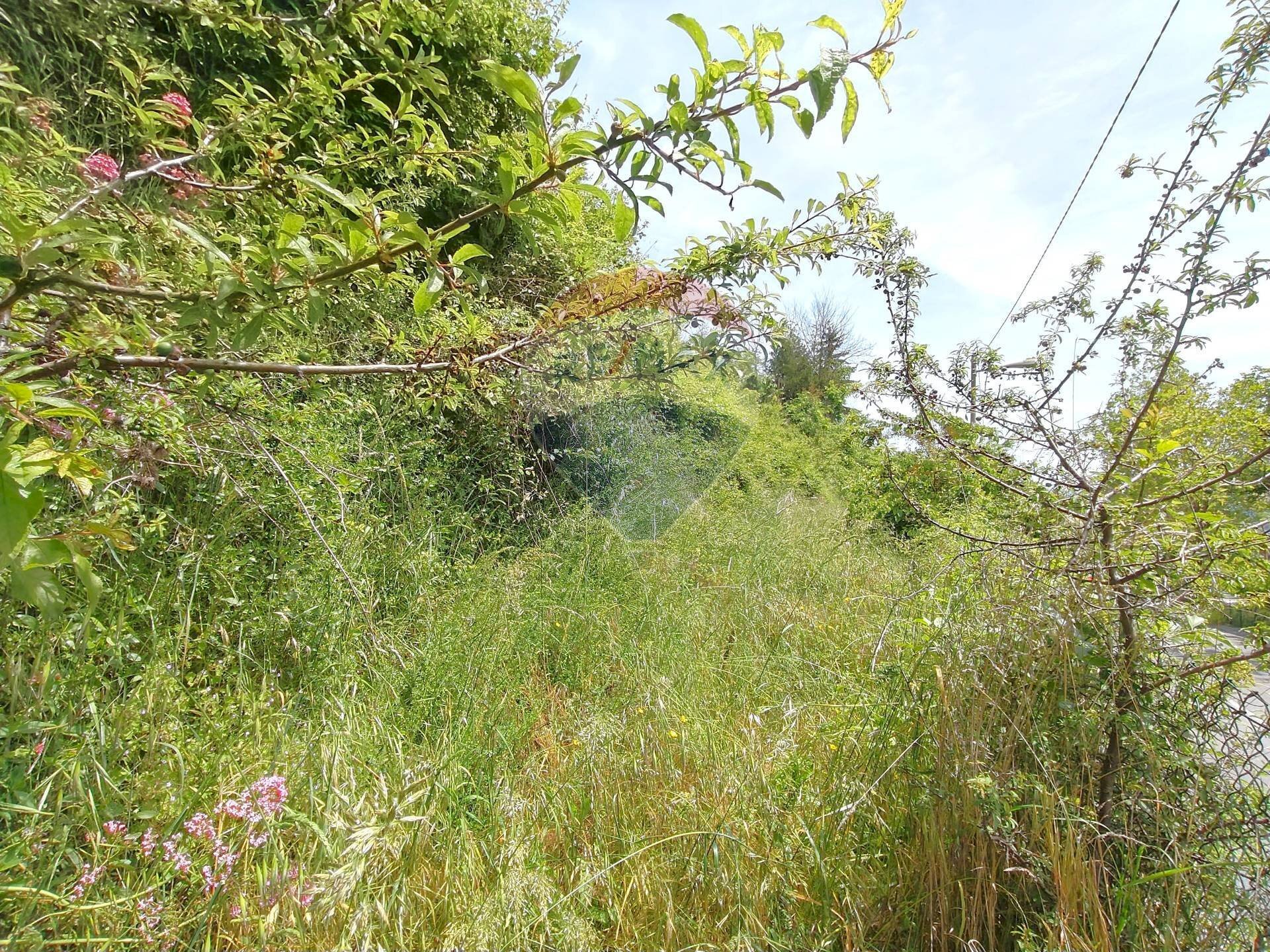 Giardino - Semi-detached house roma
 
108, Pornassio - photo 2