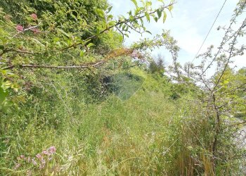 Giardino - Casa semi indipendente roma
 
108, Pornassio - foto 2