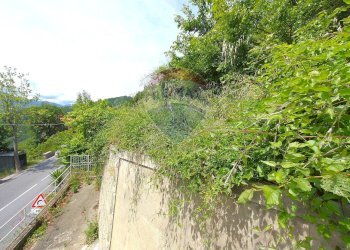 Giardino - Casa semi indipendente roma
 
108, Pornassio - foto 15