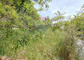 Giardino - Casa semi indipendente roma
 
108, Pornassio - foto 20