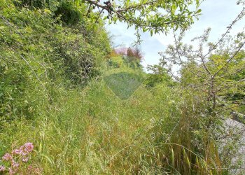 Giardino - Casa semi indipendente roma
 
108, Pornassio - foto 21