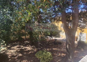 Vista esterna - Villa Pietrasanta - foto 12