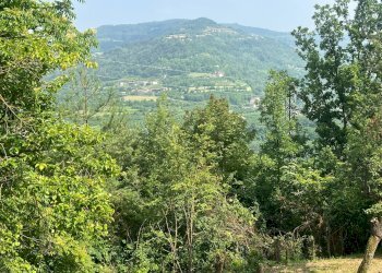 Foto 22 - Casa indipendente frazione Fontane
 
4, Torre Bormida - foto 22