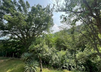 Foto 37 - Casa indipendente frazione Fontane
 
4, Torre Bormida - foto 37