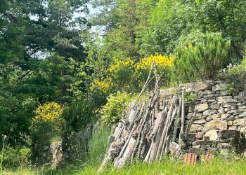 Foto 38 - Casa indipendente frazione Fontane
 
4, Torre Bormida - foto 38