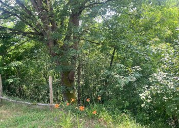 Foto 39 - Casa indipendente frazione Fontane
 
4, Torre Bormida - foto 39