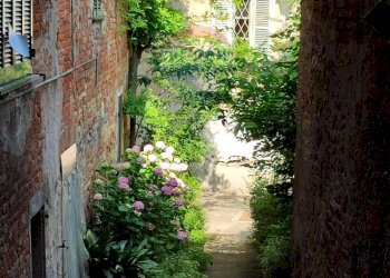 Giardino - Casa indipendente Via Umberto I
 
9, Frassinello Monferrato - foto 18