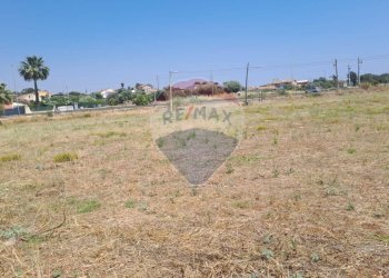 Giardino - Terreno edificabile C.da Gatto Corvino
 
s.n., Ragusa - foto 7