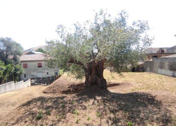 Foto 5 - Casa indipendente via Botteghe
 
snc, Castel Morrone - foto 5