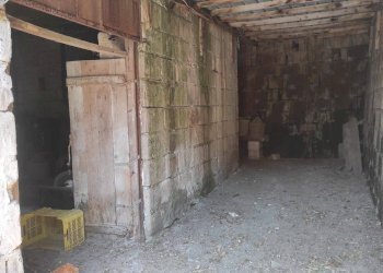 Foto 3 - Rustico Castel Morrone - foto 3