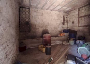 Foto 7 - Rustico Castel Morrone - foto 7